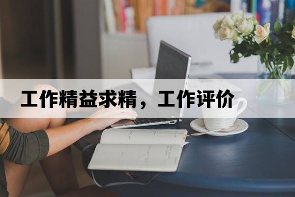 工作精益求精，工作評價