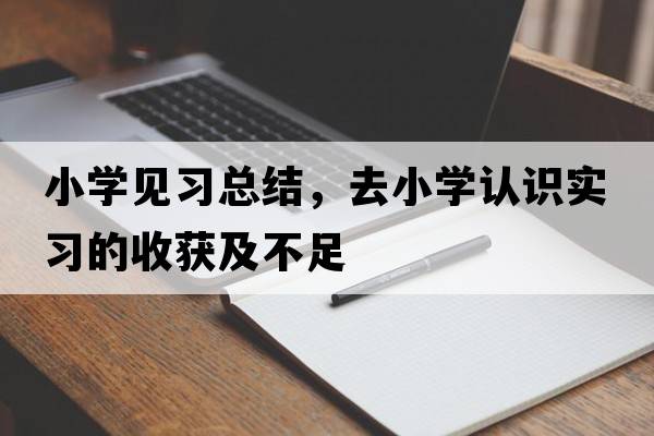 小學(xué)見(jiàn)習(xí)總結(jié)，去小學(xué)認(rèn)識(shí)實(shí)習(xí)的收獲及不足