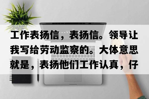 工作表揚信，表揚信。領導讓我寫給勞動監(jiān)察的。大體意思就是，表揚他們工作認真，仔細。政府領導好