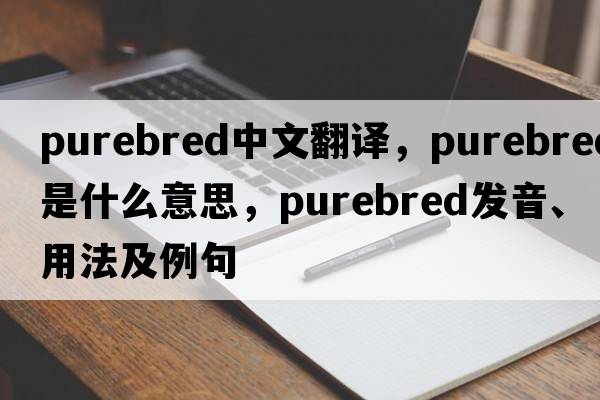 purebred中文翻譯，purebred是什么意思，purebred發(fā)音、用法及例句