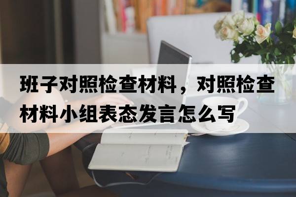 班子對(duì)照檢查材料，對(duì)照檢查材料小組表態(tài)發(fā)言怎么寫