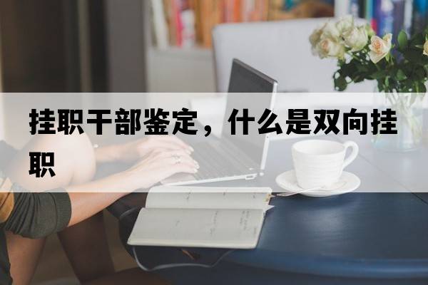 掛職干部鑒定，什么是雙向掛職