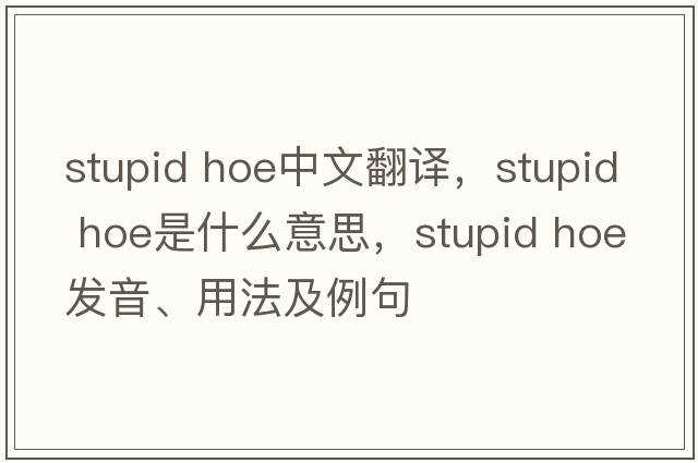 stupid hoe中文翻譯，stupid hoe是什么意思，stupid hoe發(fā)音、用法及例句