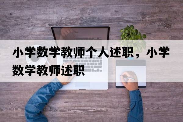 小學(xué)數(shù)學(xué)教師個(gè)人述職，小學(xué)數(shù)學(xué)教師述職