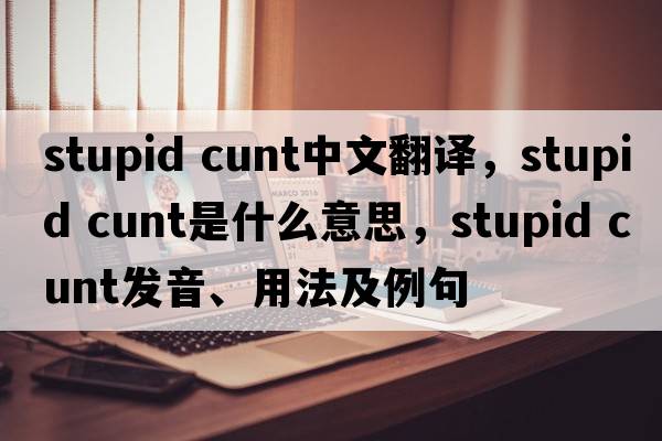 stupid cunt中文翻譯，stupid cunt是什么意思，stupid cunt發(fā)音、用法及例句