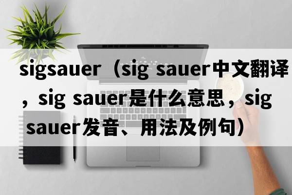 sigsauer（sig sauer中文翻譯，sig sauer是什么意思，sig sauer發(fā)音、用法及例句）