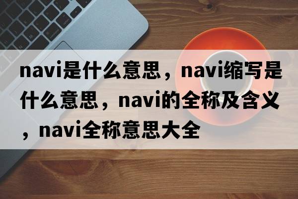 navi是什么意思，navi縮寫是什么意思，navi的全稱及含義，navi全稱意思大全