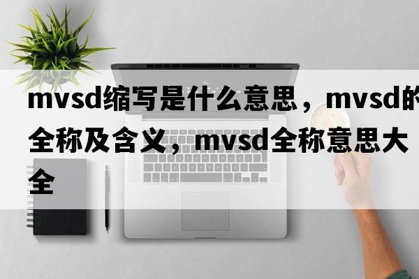 mvsd縮寫是什么意思，mvsd的全稱及含義，mvsd全稱意思大全