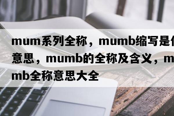 mum系列全稱，mumb縮寫(xiě)是什么意思，mumb的全稱及含義，mumb全稱意思大全