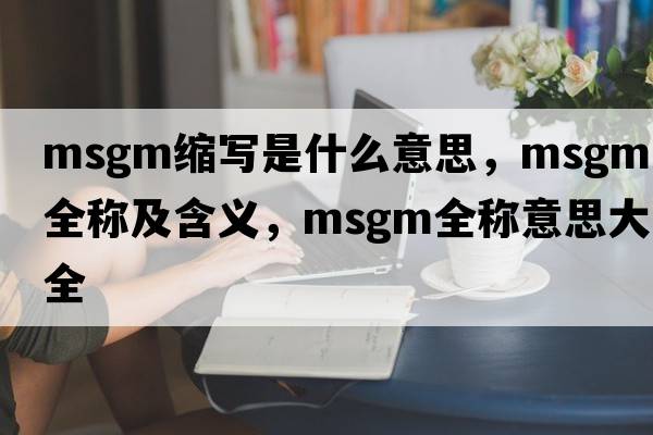 msgm縮寫是什么意思，msgm的全稱及含義，msgm全稱意思大全