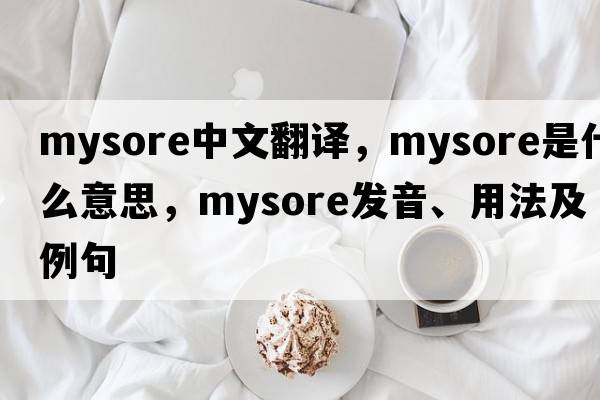 Mysore中文翻譯，Mysore是什么意思，Mysore發(fā)音、用法及例句