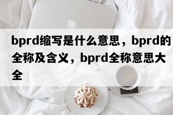 bprd縮寫是什么意思，bprd的全稱及含義，bprd全稱意思大全
