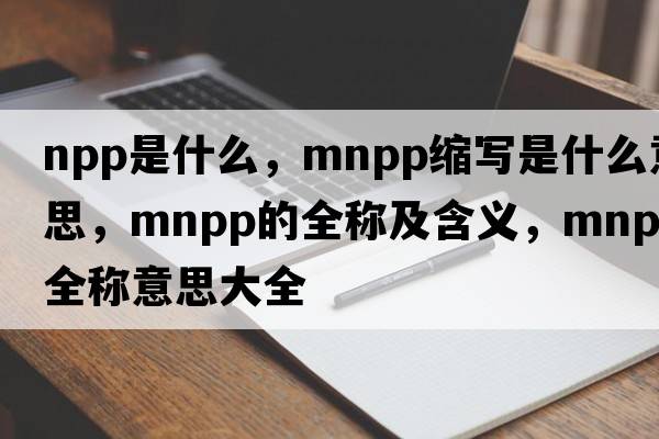 npp是什么，mnpp縮寫是什么意思，mnpp的全稱及含義，mnpp全稱意思大全