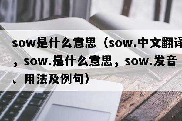 sow是什么意思（sow.中文翻譯，sow.是什么意思，sow.發(fā)音、用法及例句）