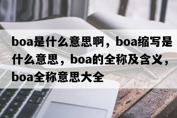 boa是什么意思啊，boa縮寫是什么意思，boa的全稱及含義，boa全稱意思大全