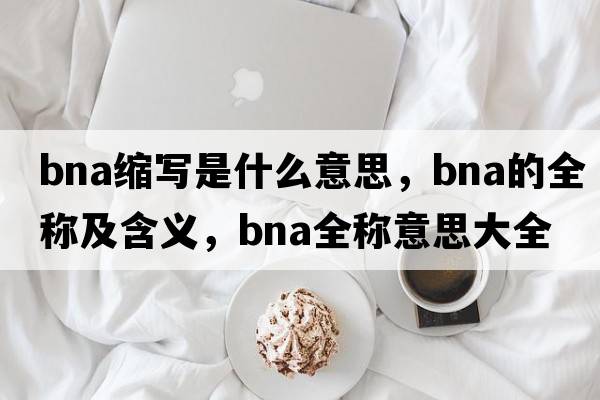 bna縮寫是什么意思，bna的全稱及含義，bna全稱意思大全