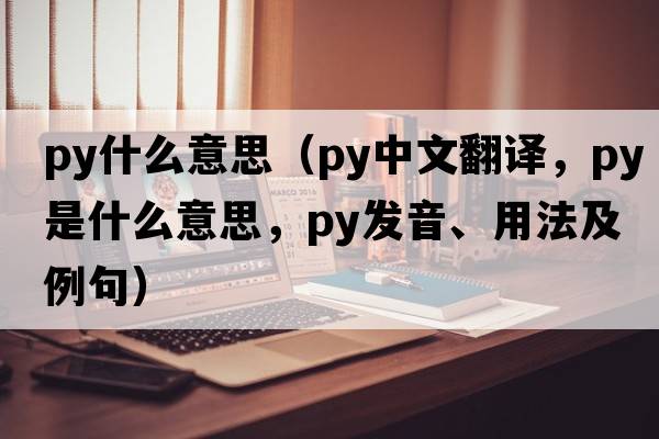 py什么意思（py中文翻譯，py是什么意思，py發(fā)音、用法及例句）