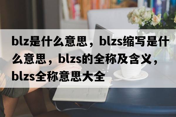 blz是什么意思，blzs縮寫(xiě)是什么意思，blzs的全稱及含義，blzs全稱意思大全