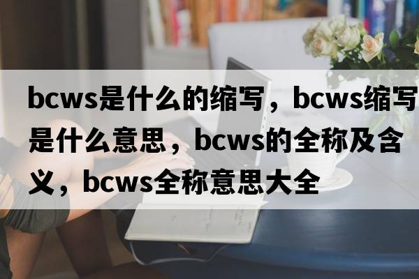 bcws是什么的縮寫，bcws縮寫是什么意思，bcws的全稱及含義，bcws全稱意思大全