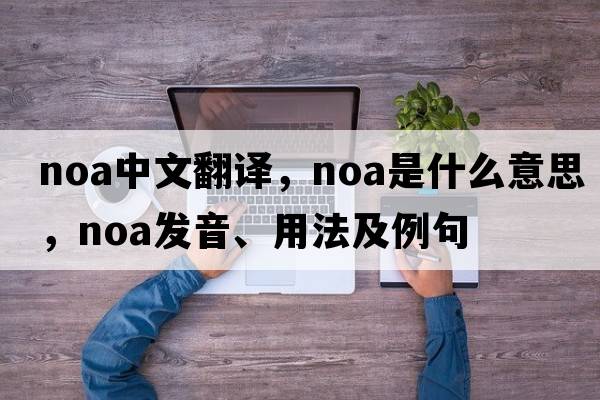 noa中文翻譯，noa是什么意思，noa發(fā)音、用法及例句