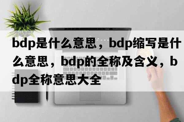 bdp是什么意思，bdp縮寫是什么意思，bdp的全稱及含義，bdp全稱意思大全