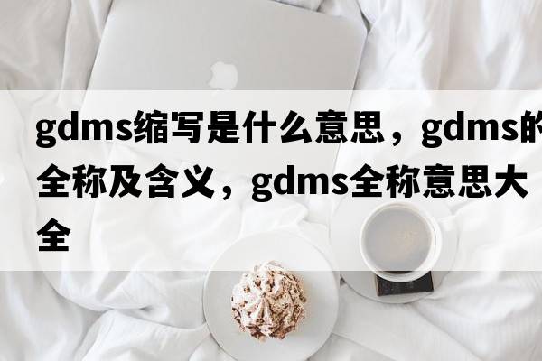 gdms縮寫是什么意思，gdms的全稱及含義，gdms全稱意思大全