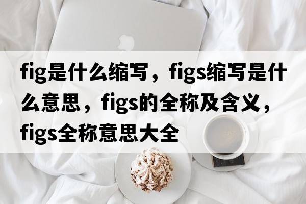 fig是什么縮寫，figs縮寫是什么意思，figs的全稱及含義，figs全稱意思大全