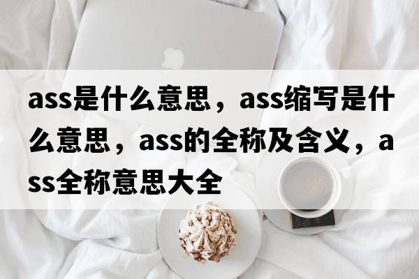 ass是什么意思，ass縮寫是什么意思，ass的全稱及含義，ass全稱意思大全
