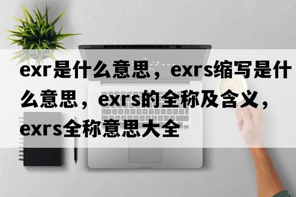 exr是什么意思，exrs縮寫是什么意思，exrs的全稱及含義，exrs全稱意思大全
