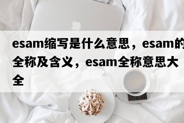 esam縮寫是什么意思，esam的全稱及含義，esam全稱意思大全
