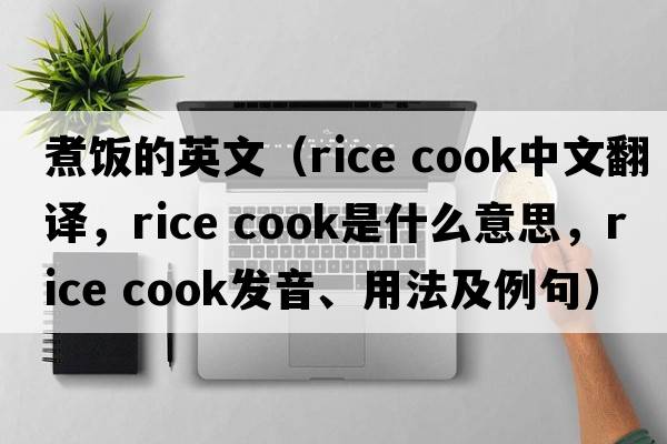 煮飯的英文（rice cook中文翻譯，rice cook是什么意思，rice cook發(fā)音、用法及例句）