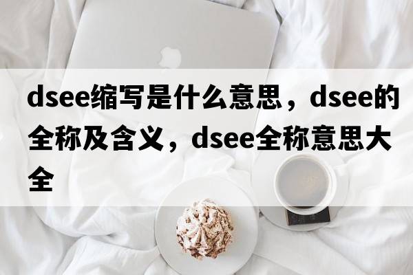 dsee縮寫是什么意思，dsee的全稱及含義，dsee全稱意思大全