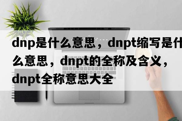 dnp是什么意思，dnpt縮寫是什么意思，dnpt的全稱及含義，dnpt全稱意思大全