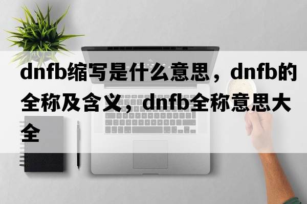 dnfb縮寫是什么意思，dnfb的全稱及含義，dnfb全稱意思大全