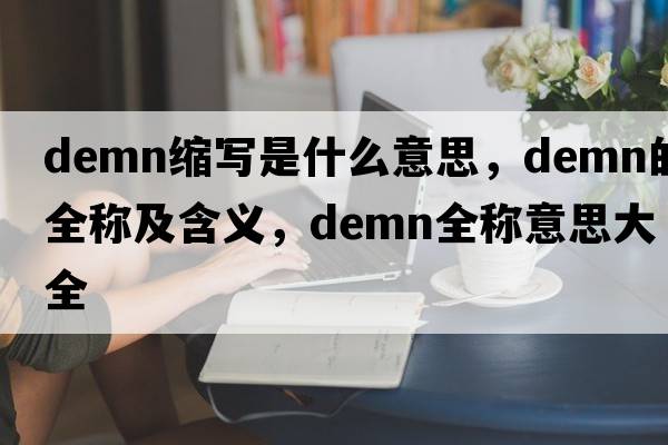demn縮寫是什么意思，demn的全稱及含義，demn全稱意思大全