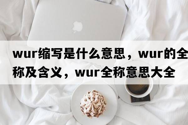 wur縮寫是什么意思，wur的全稱及含義，wur全稱意思大全