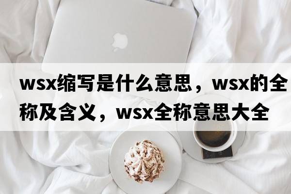 wsx縮寫是什么意思，wsx的全稱及含義，wsx全稱意思大全