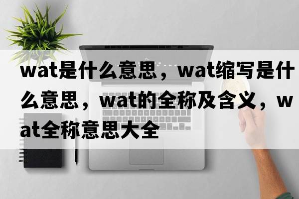 wat是什么意思，wat縮寫是什么意思，wat的全稱及含義，wat全稱意思大全