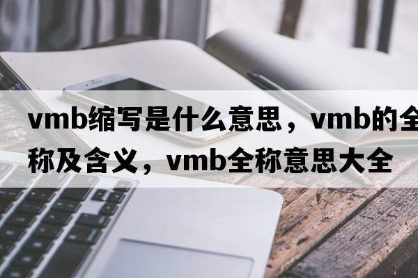 vmb縮寫是什么意思，vmb的全稱及含義，vmb全稱意思大全