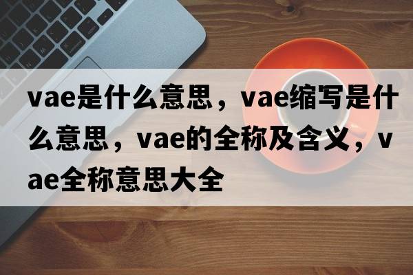 vae是什么意思，vae縮寫是什么意思，vae的全稱及含義，vae全稱意思大全