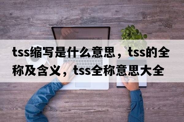 tss縮寫是什么意思，tss的全稱及含義，tss全稱意思大全