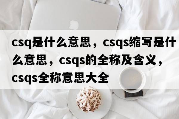 csq是什么意思，csqs縮寫(xiě)是什么意思，csqs的全稱及含義，csqs全稱意思大全