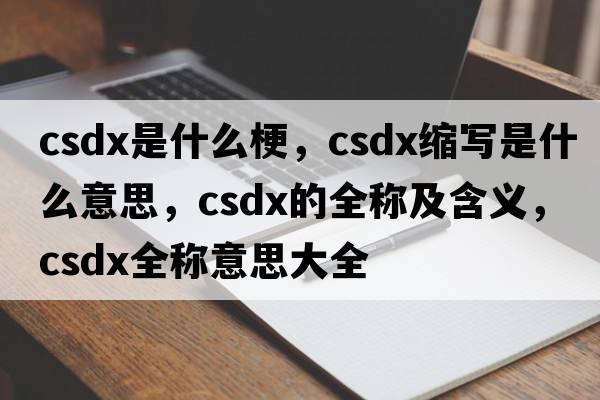 csdx是什么梗，csdx縮寫是什么意思，csdx的全稱及含義，csdx全稱意思大全