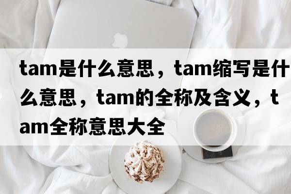tam是什么意思，tam縮寫是什么意思，tam的全稱及含義，tam全稱意思大全