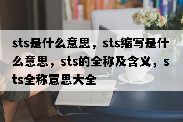 sts是什么意思，sts縮寫是什么意思，sts的全稱及含義，sts全稱意思大全