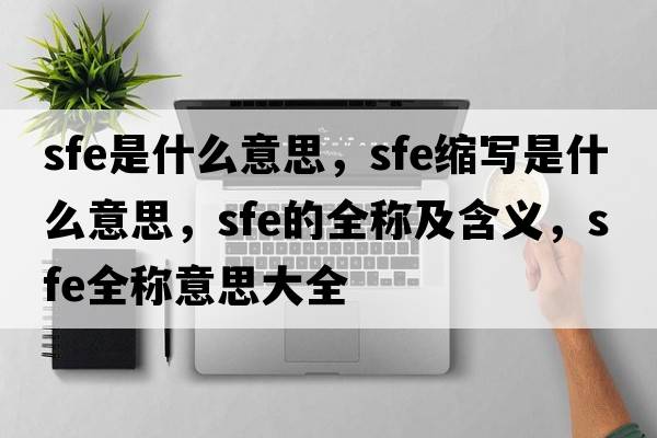 sfe是什么意思，sfe縮寫是什么意思，sfe的全稱及含義，sfe全稱意思大全