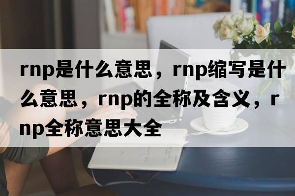 rnp是什么意思，rnp縮寫是什么意思，rnp的全稱及含義，rnp全稱意思大全