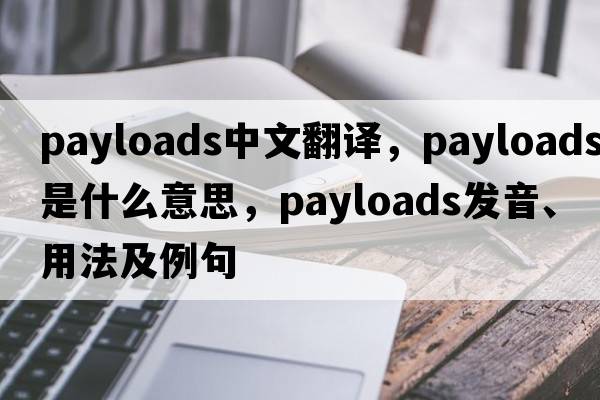 payloads中文翻譯，payloads是什么意思，payloads發(fā)音、用法及例句