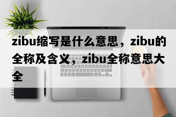zibu縮寫是什么意思，zibu的全稱及含義，zibu全稱意思大全