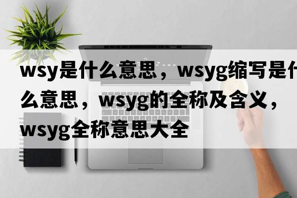 wsy是什么意思，wsyg縮寫是什么意思，wsyg的全稱及含義，wsyg全稱意思大全